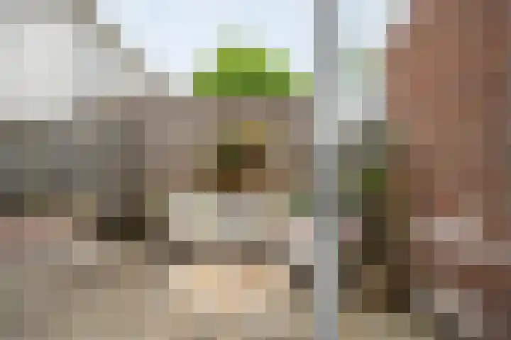 Molenstraat 18 Kampen thumbnail 16