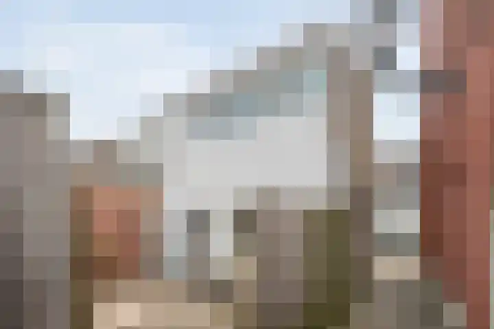Molenstraat 18 Kampen thumbnail 5
