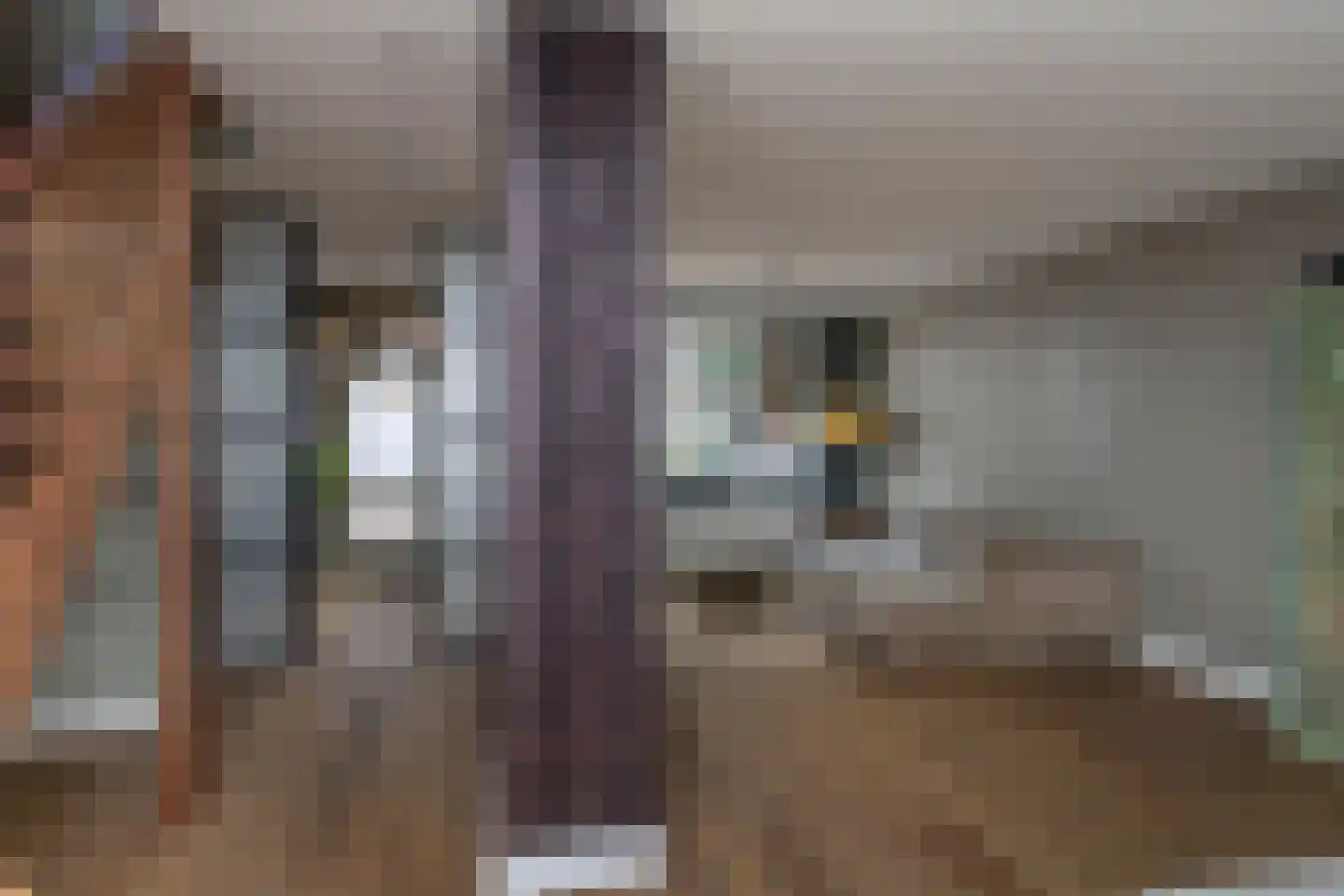 Molenstraat 18 Monster thumbnail 12