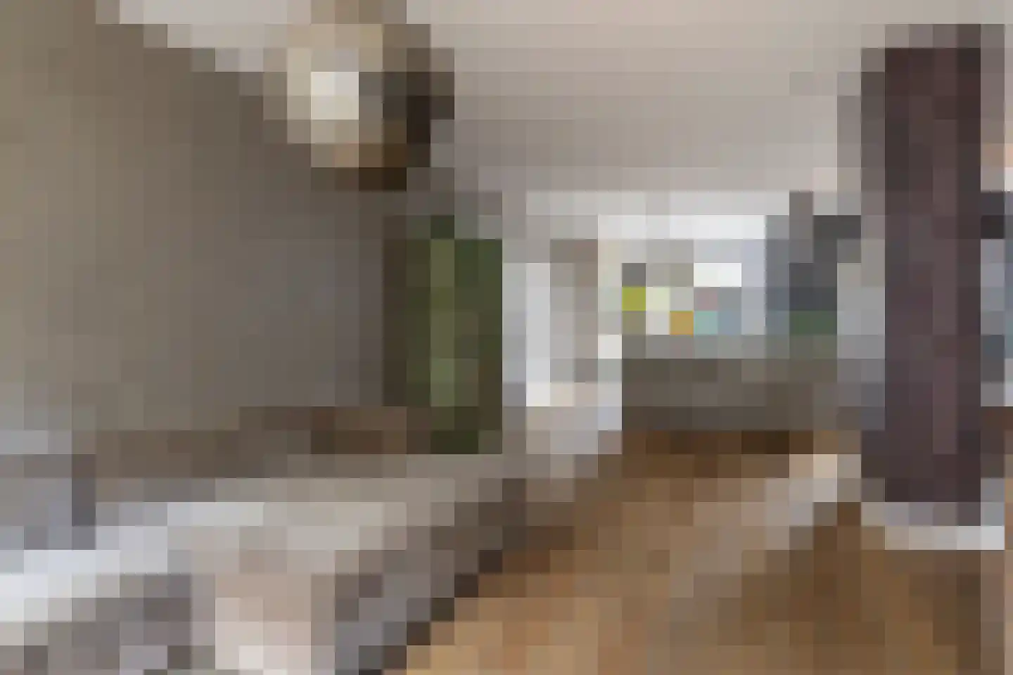 Molenstraat 18 Monster thumbnail 13