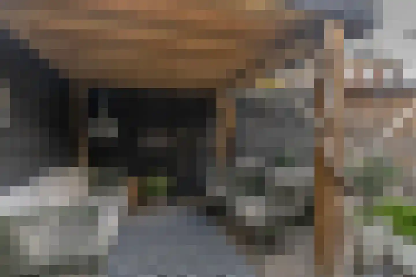 Molenstraat 18 Monster thumbnail 23