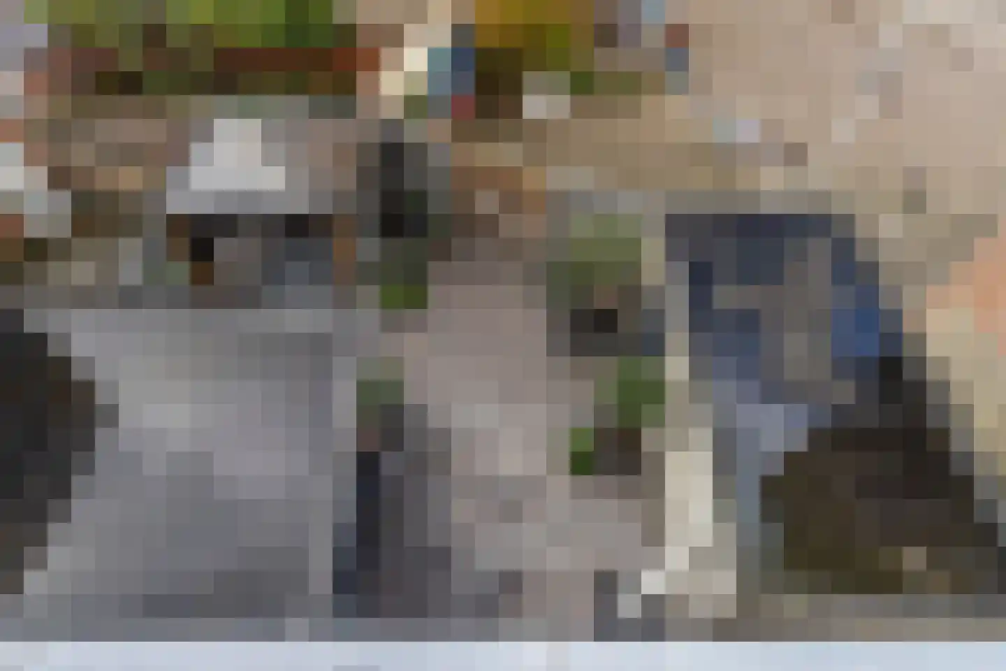 Molenstraat 18 Monster thumbnail 27