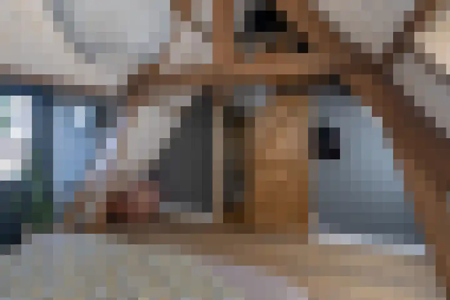 Molenstraat 18 Monster thumbnail 35