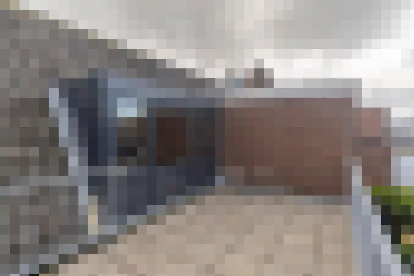 Molenstraat 18 Monster thumbnail 38