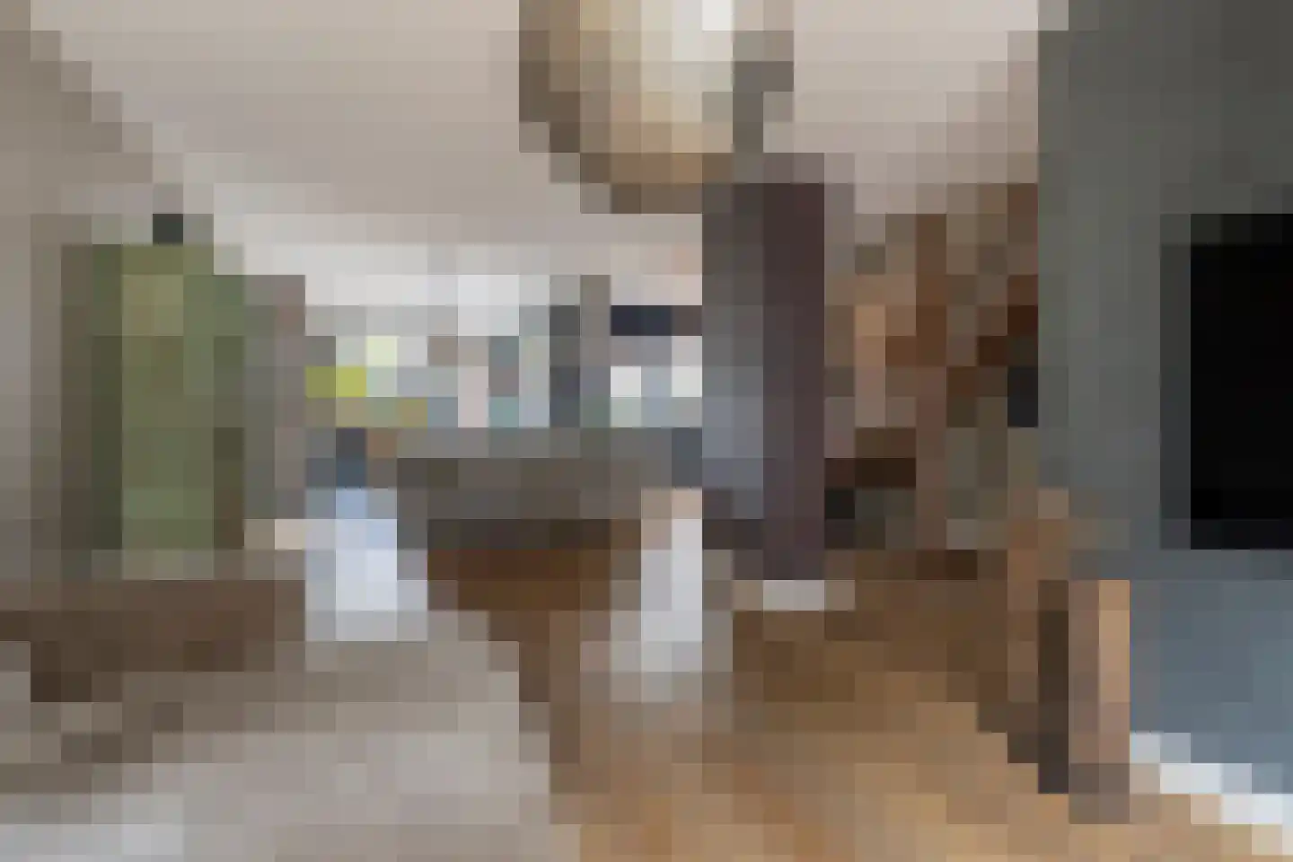 Molenstraat 18 Monster thumbnail 4