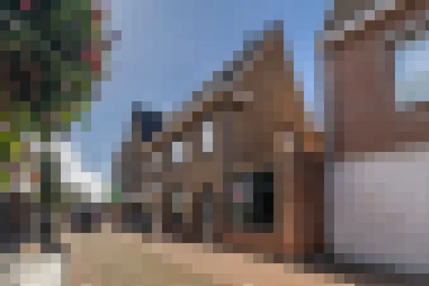 Molenstraat 18 Monster thumbnail 6