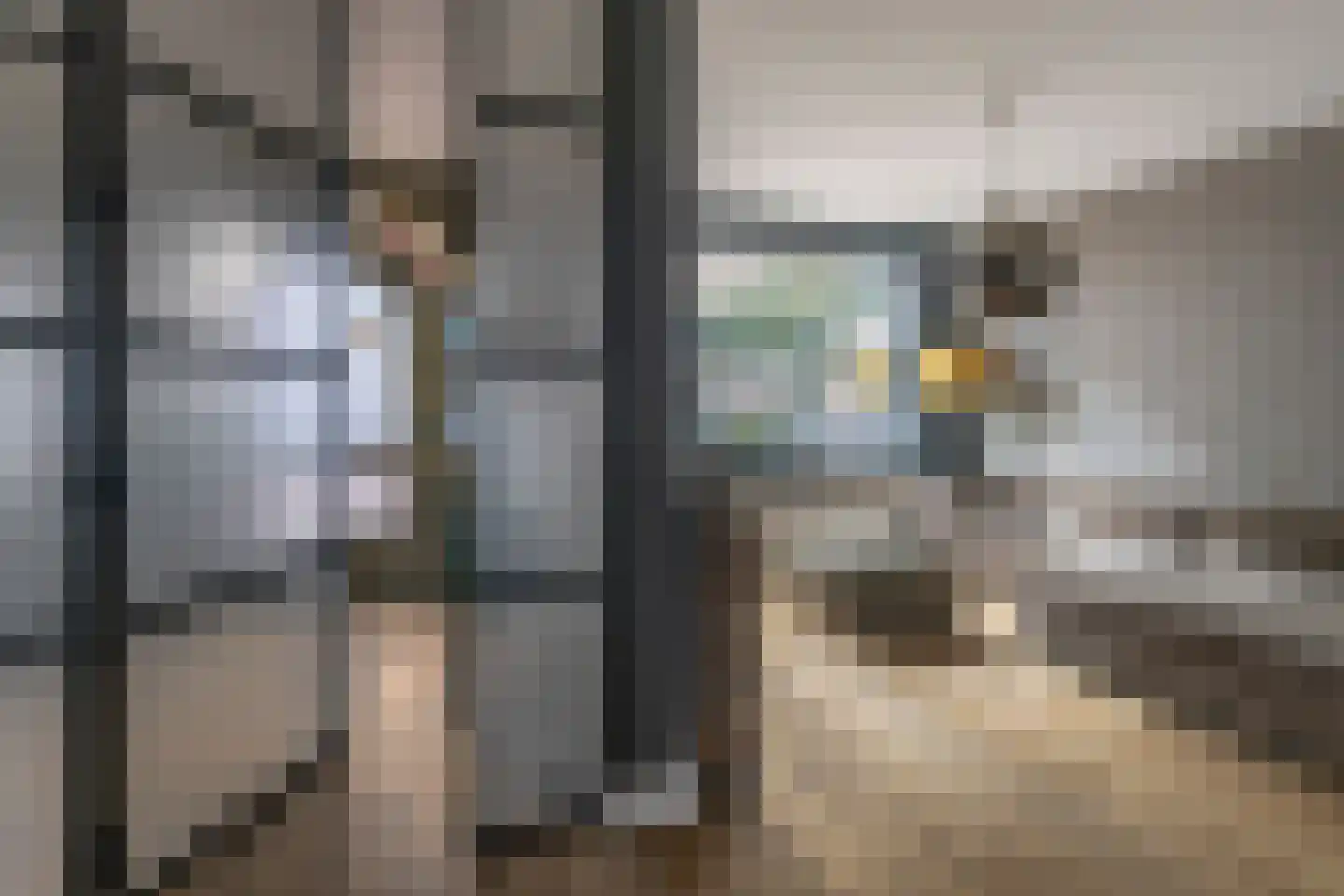 Molenstraat 18 Monster thumbnail 9