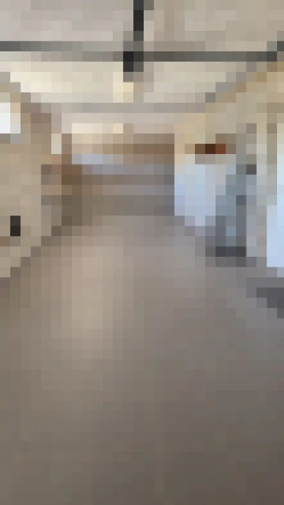 Molenstraat 18 Veldhoven thumbnail 5