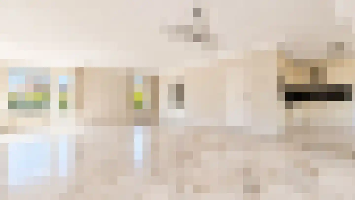 Molenstraat 18 Veldhoven thumbnail 7