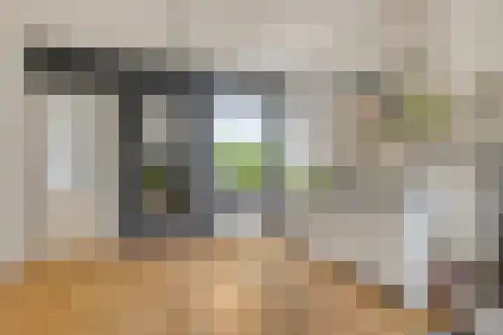 Molenstraat 180 Assen thumbnail 13