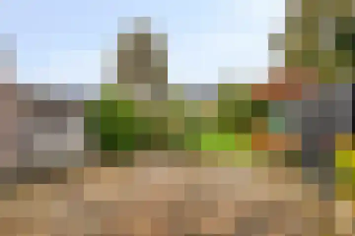 Molenstraat 180 Assen thumbnail 36