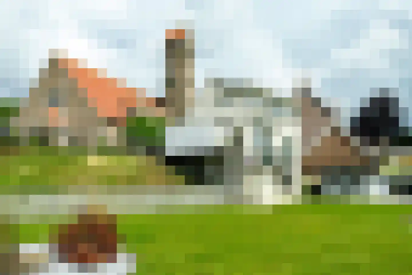 Molenstraat 180 Kinderdijk thumbnail 20