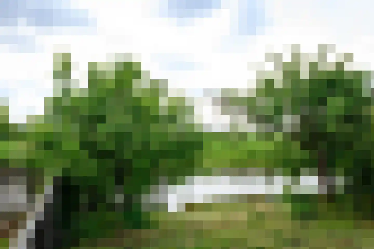 Molenstraat 180 Kinderdijk thumbnail 24