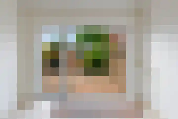 Molenstraat 182 Monster thumbnail 16