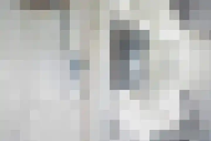 Molenstraat 182 Monster thumbnail 28