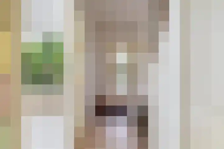 Molenstraat 182 Monster thumbnail 9