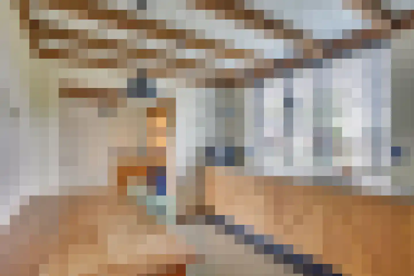 Molenstraat 19 a Boekel thumbnail 15