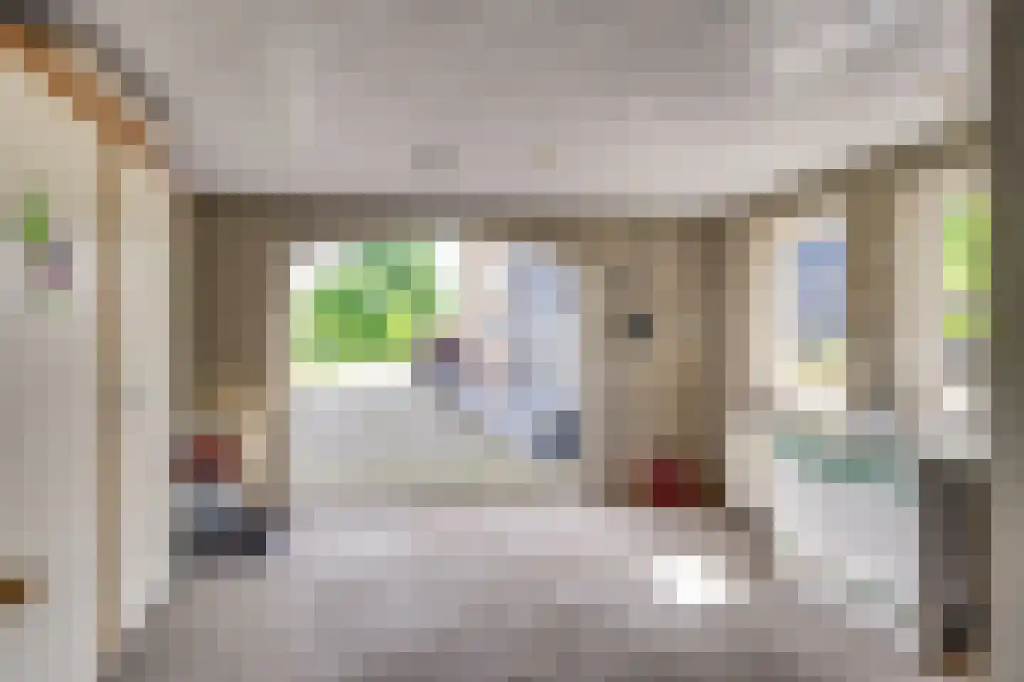 Molenstraat 19 a Boekel thumbnail 29