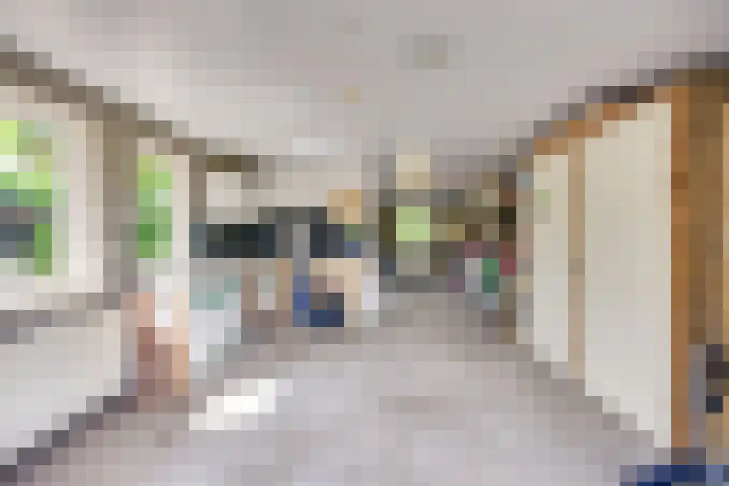 Molenstraat 19 a Boekel thumbnail 30