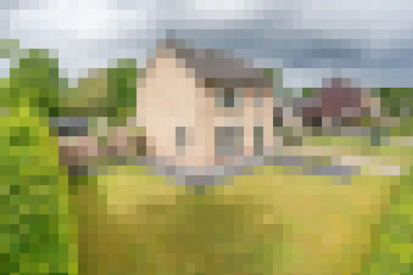 Molenstraat 19 a Boekel thumbnail 5