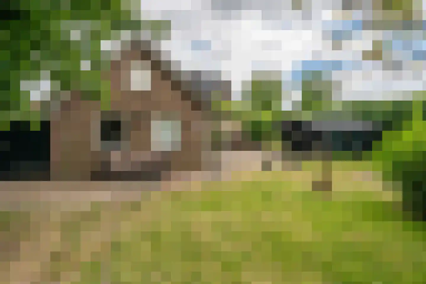 Molenstraat 19 a Boekel thumbnail 8