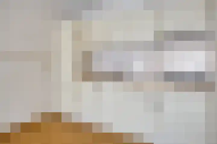 Molenstraat 19 Axel thumbnail 9
