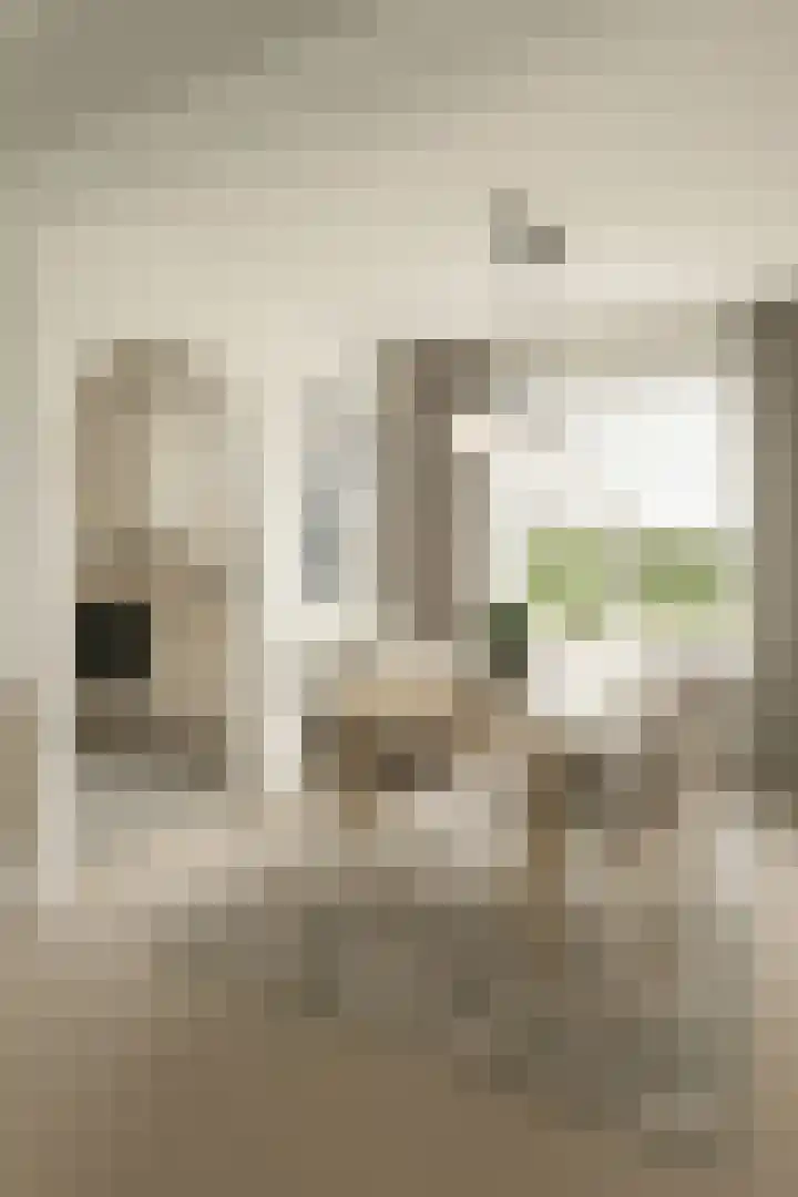 Molenstraat 19 Beegden thumbnail 4