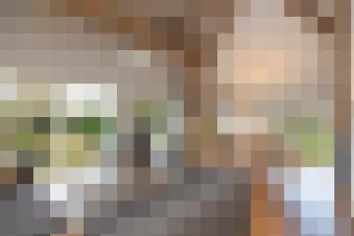 Molenstraat 19 de Wijk thumbnail 11