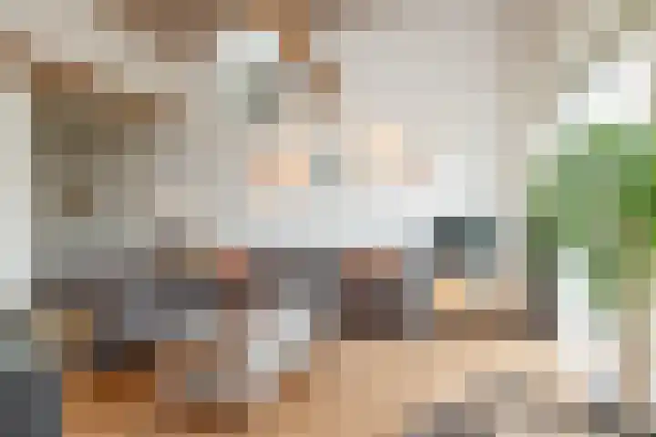 Molenstraat 19 de Wijk thumbnail 12