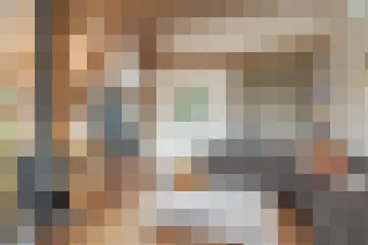 Molenstraat 19 de Wijk thumbnail 13