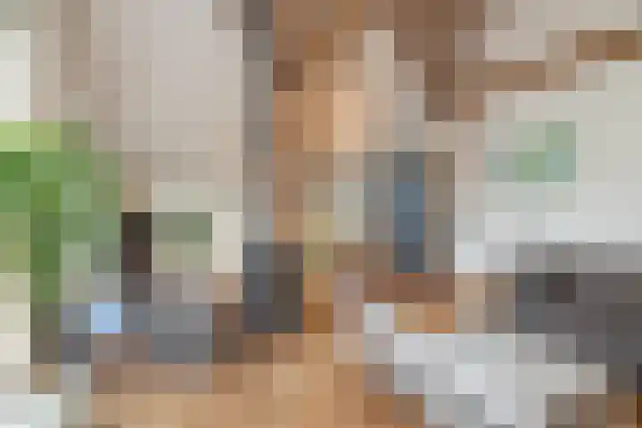 Molenstraat 19 de Wijk thumbnail 14