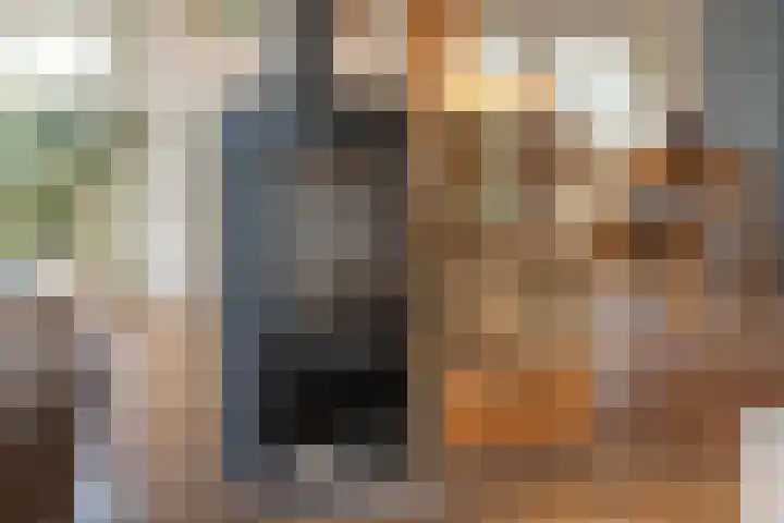 Molenstraat 19 de Wijk thumbnail 15