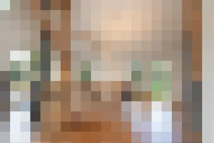 Molenstraat 19 de Wijk thumbnail 16