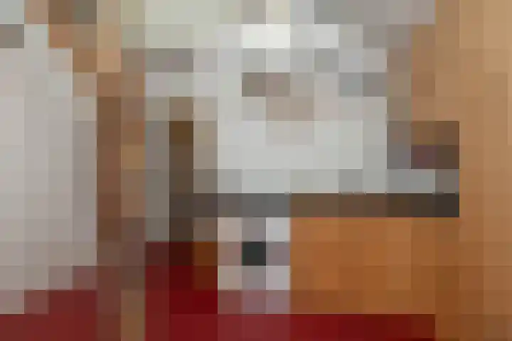 Molenstraat 19 de Wijk thumbnail 23
