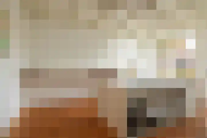 Molenstraat 19 de Wijk thumbnail 26