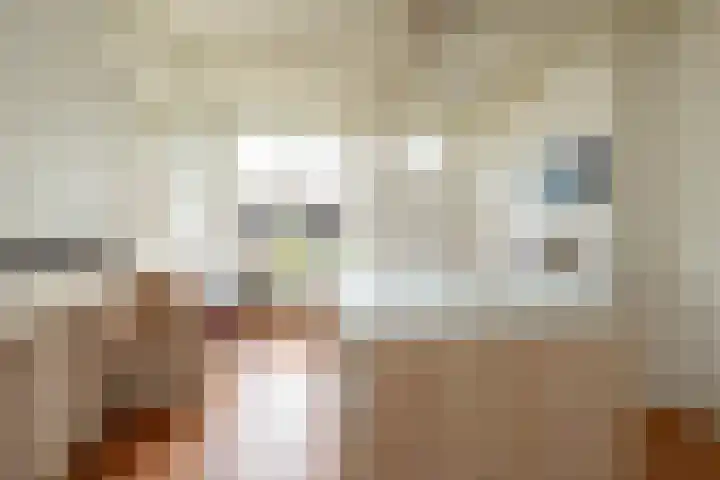 Molenstraat 19 de Wijk thumbnail 27