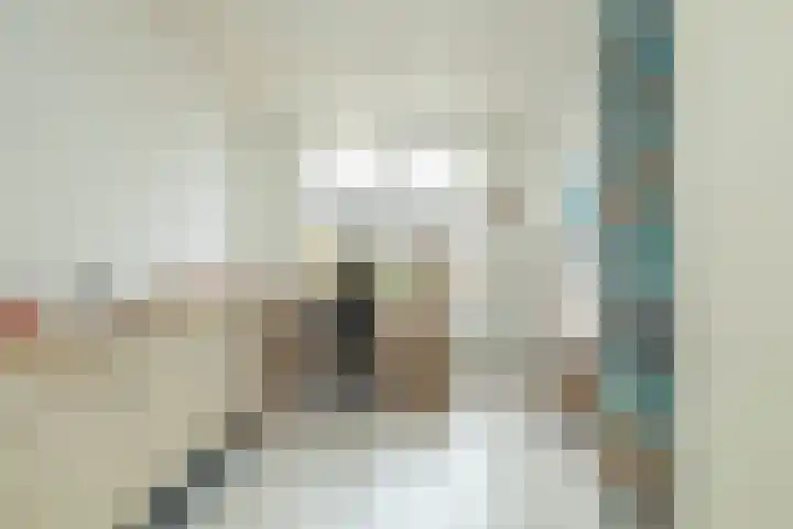 Molenstraat 19 de Wijk thumbnail 31