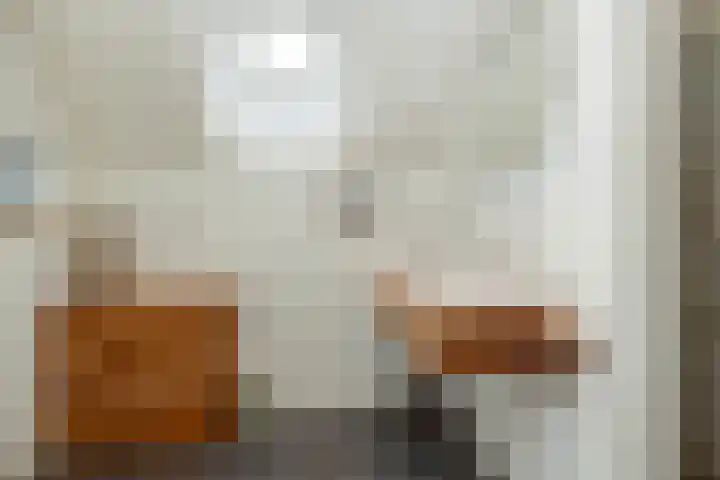 Molenstraat 19 de Wijk thumbnail 34