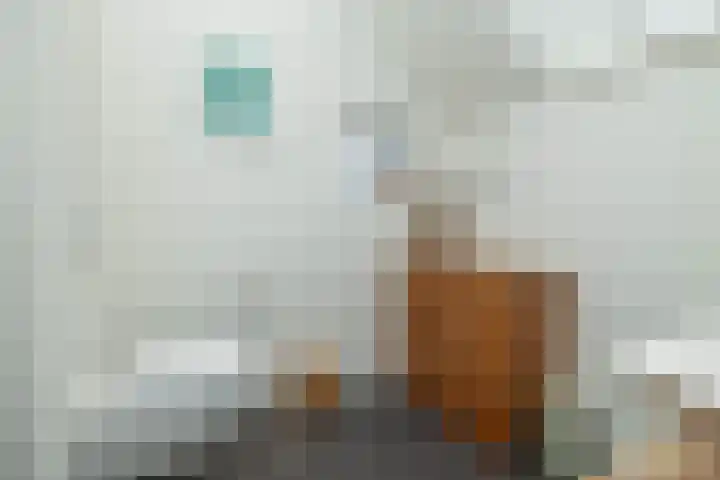 Molenstraat 19 de Wijk thumbnail 35