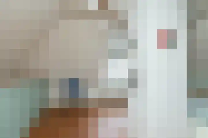 Molenstraat 19 de Wijk thumbnail 41