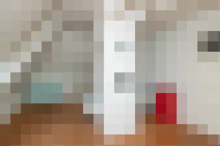Molenstraat 19 de Wijk thumbnail 42