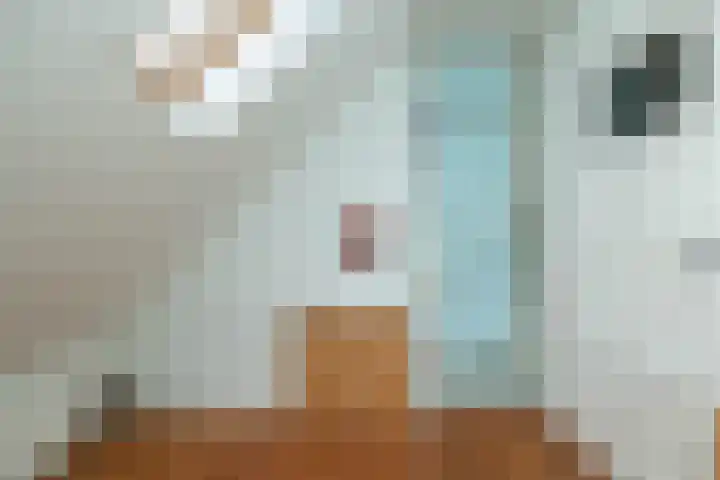 Molenstraat 19 de Wijk thumbnail 46