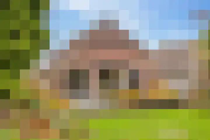 Molenstraat 19 de Wijk thumbnail 5