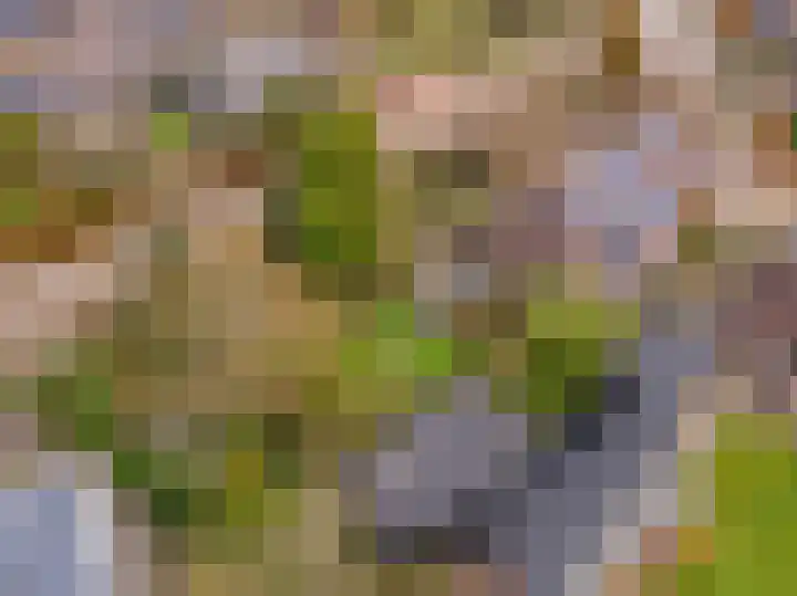 Molenstraat 19 de Wijk thumbnail 52