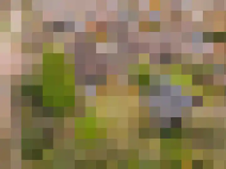 Molenstraat 19 de Wijk thumbnail 53