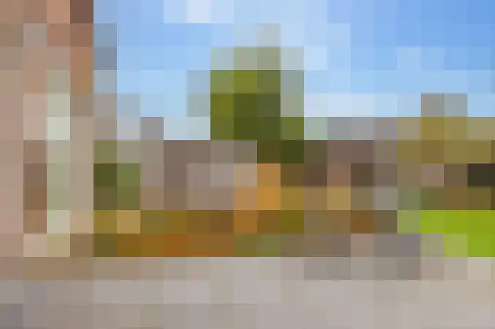 Molenstraat 19 de Wijk thumbnail 55
