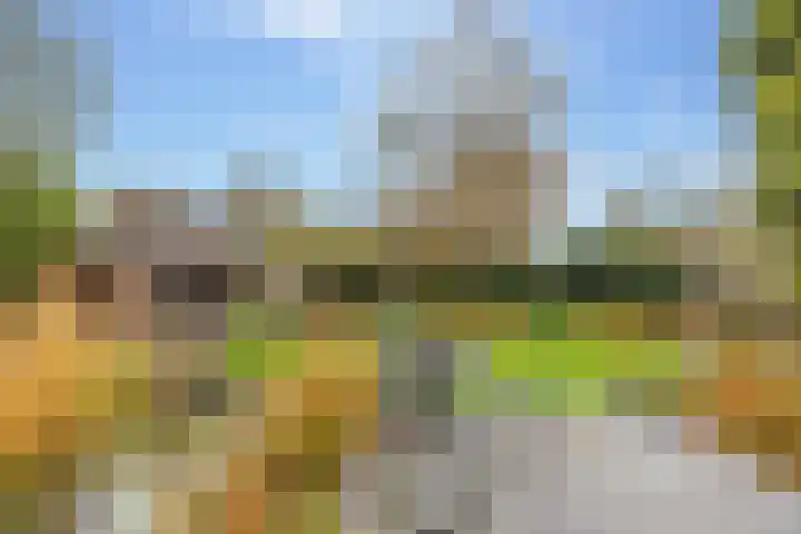 Molenstraat 19 de Wijk thumbnail 56