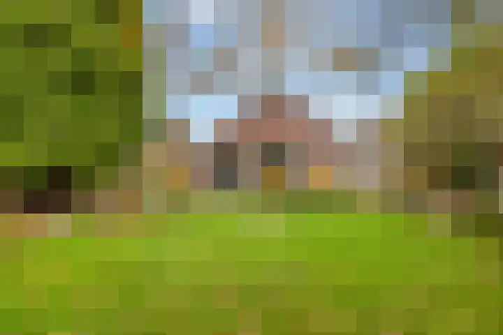 Molenstraat 19 de Wijk thumbnail 57