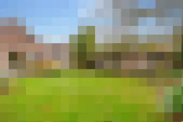 Molenstraat 19 de Wijk thumbnail 58