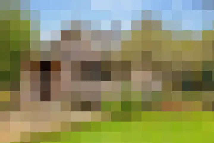 Molenstraat 19 de Wijk thumbnail 59